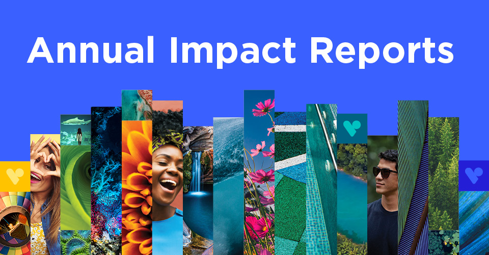 impact report