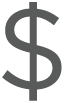 dollar sign icon